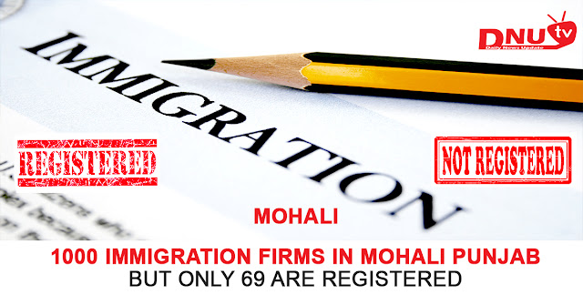 1000 IMMIGRATION FIRMS IN MOHALI PUNJAB - DNU Tv