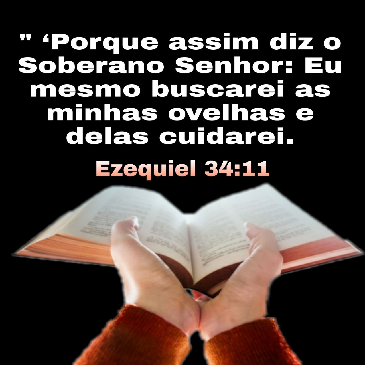 Palavra E A o Deus Julga Aos Pastores Ezequiel 34 palavra-e-a-o-deus-julga-aos-pastores-ezequiel-34