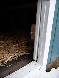 chicken coop arduino