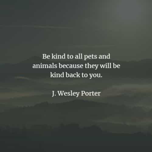 Be Kind To Animals Quotes 40 Pet Quotes And Sayings That Inspire A Love For Animals
