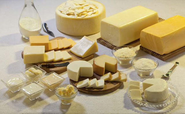 Brasil passará a exportar produtos lácteos para o Egito, anuncia ministra Tereza Cristina