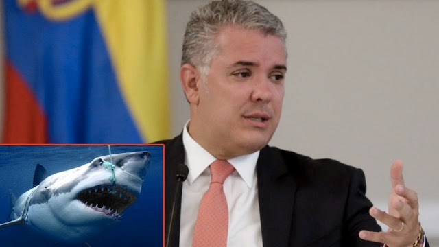 Presidente Ivan Duque prohíbe la pesca de tiburones en Colombia