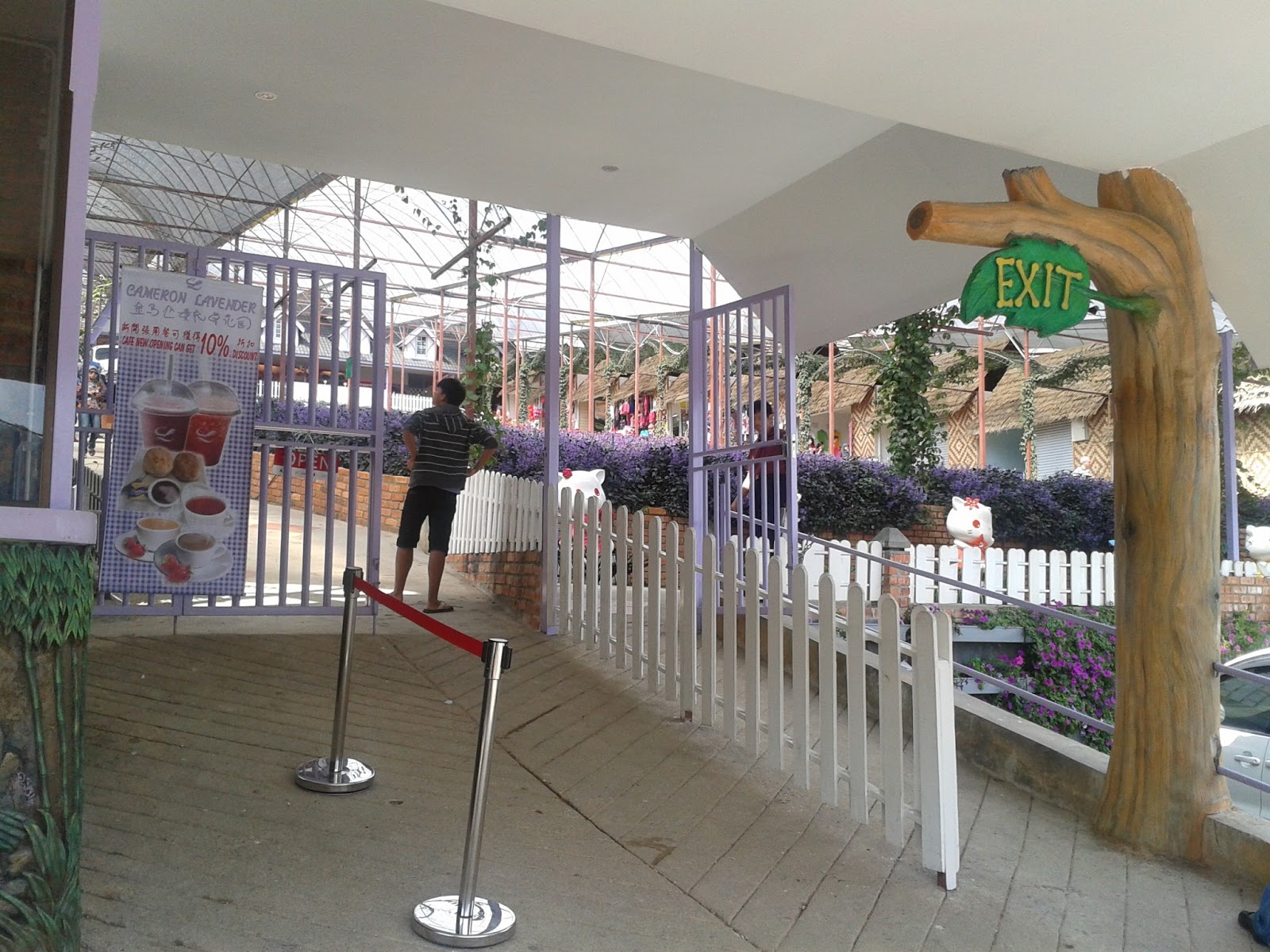 Family Aku....: Cameron Highlands -Part 1