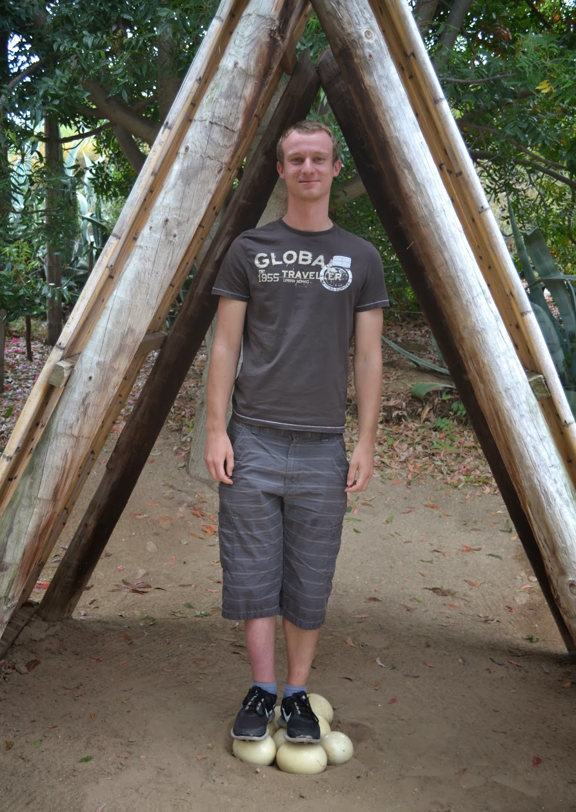 Auslandssemester Südafrika Addo Elephant National Park und Ostrich