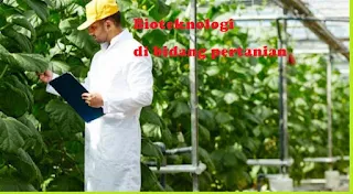 Hasil dan contoh penerapan bioteknologi di bidang pertanian