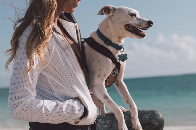 Sweaty Or Not Jacket Sweaty Or Not Jacket