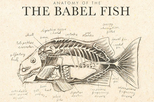 Flying With Hands: Counting The Birds Of Babel