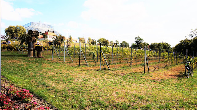 Tanie podróżowanie Polska