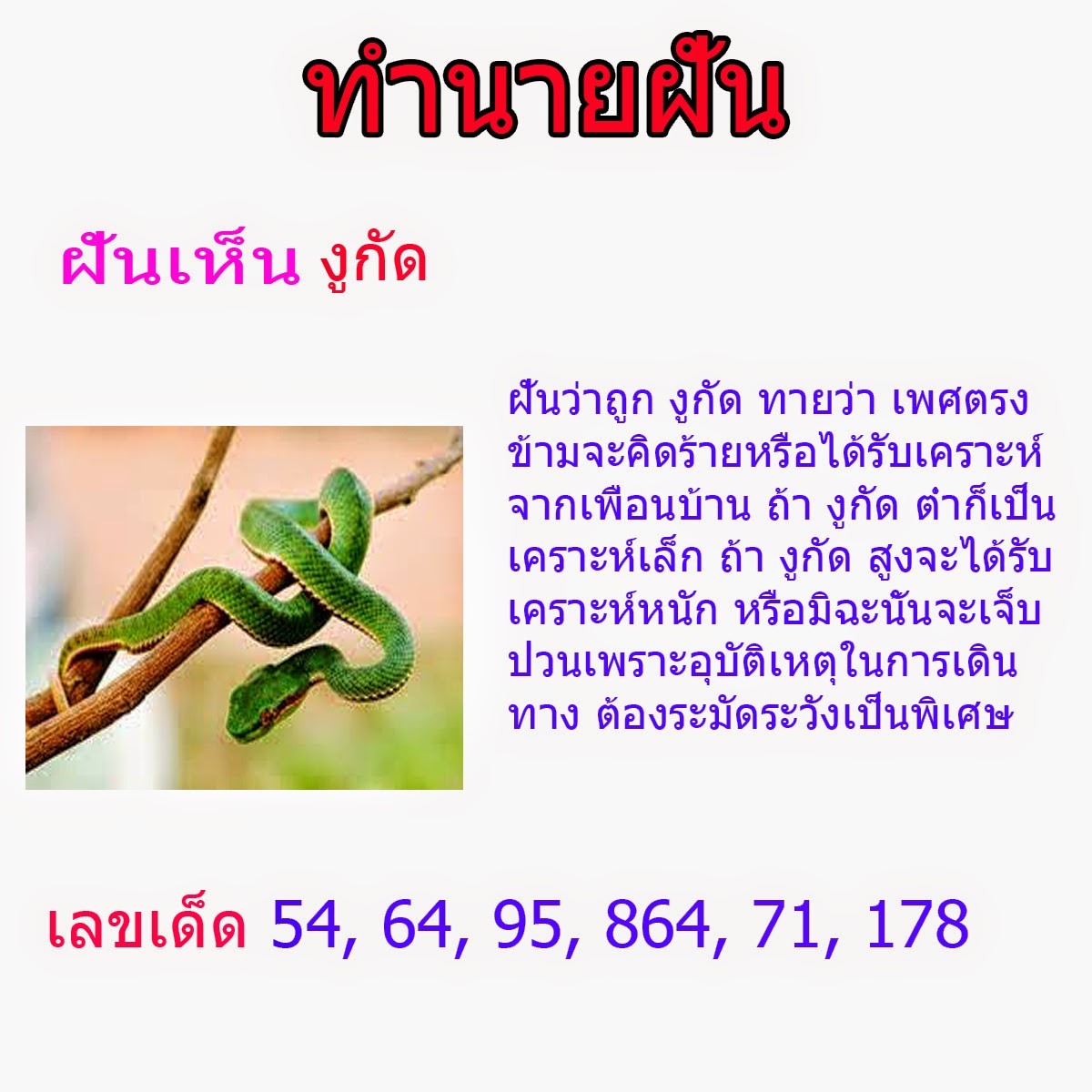 My Image 76