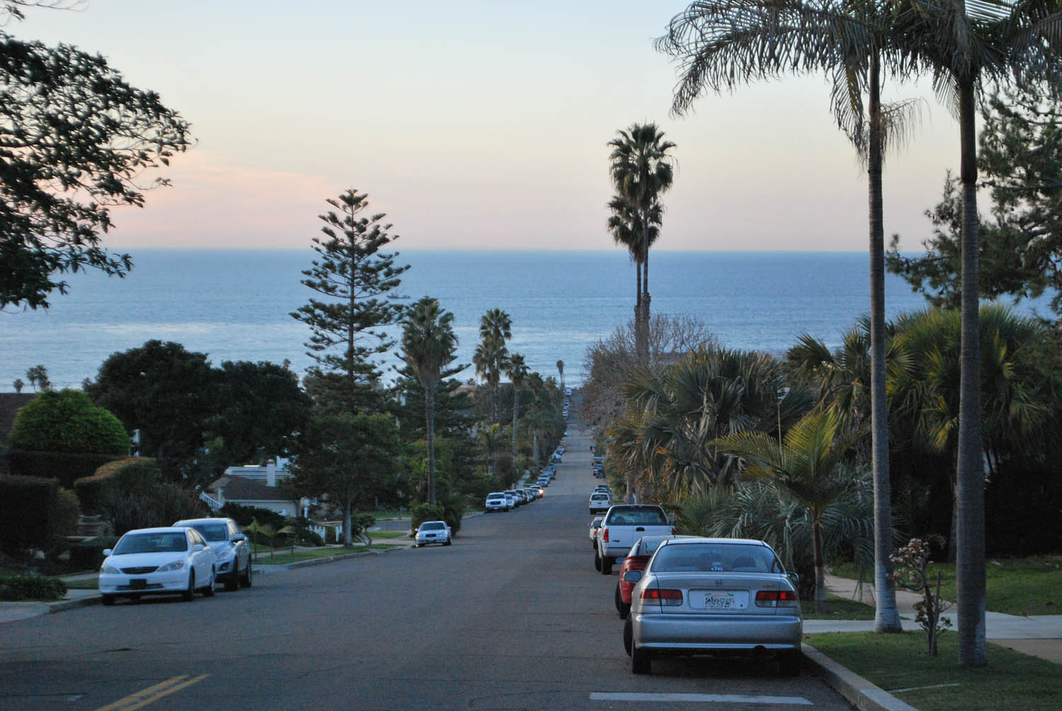 The Scratching Post Point Loma Street