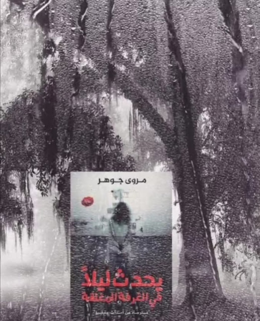 مراجعة رواية يحدث ليلاً في الغرفة المغلقة الكاتبة مروى جوهر قراءة مراجعة رواية يحدث ليلاً في الغرفة المغلقة الكاتبة مروى جوهر قراءة
