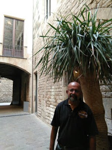 At the  "Picasso Museum" building in Barcelona.