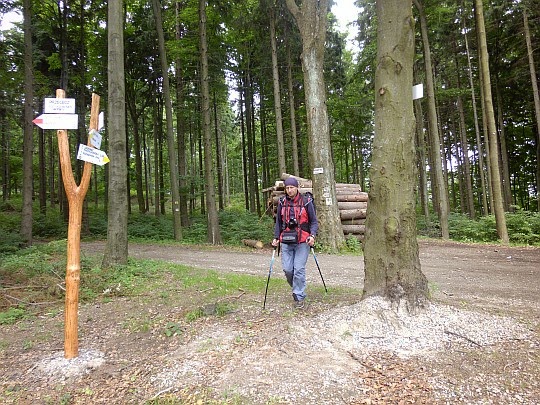 Przełęcz Pod Trzeboniem (679 m n.p.m.).