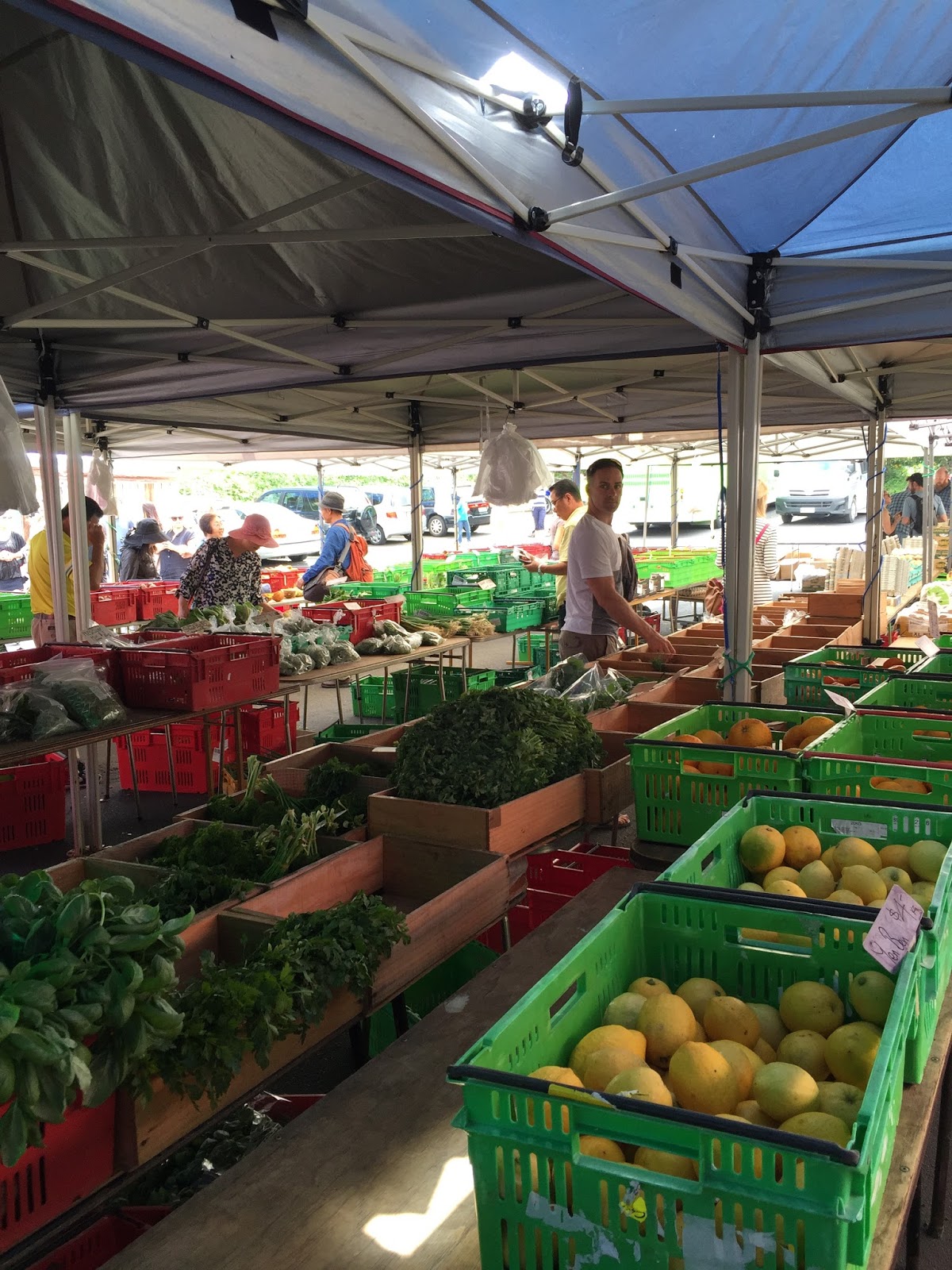 Problem With Driver Enumeration Dominion Wars