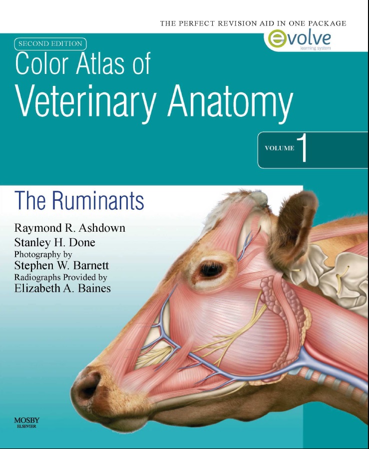 Color Atlas of Veterinary Anatomy, Volume 1 The Ruminants