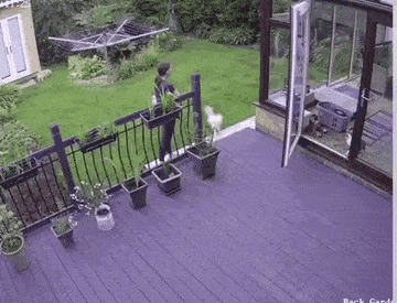 daily_gifdump_3394_16.gif
