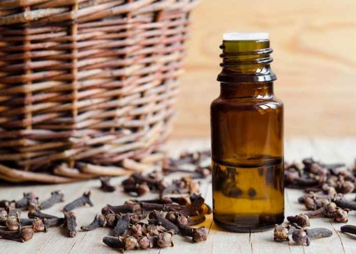 The Best Essential Oils for Sinus Headache Everything Pretty