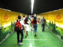 EL "MÁSTER DEL GUAPO HACKER" ( MASTER DE XAVIER VALDERAS ): FRICO LLEVA