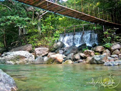 View of the mini waterfalls connecting the hanging bridge