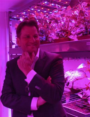 1_Netherlands_Sunless_Farming.sff_vert.jpg