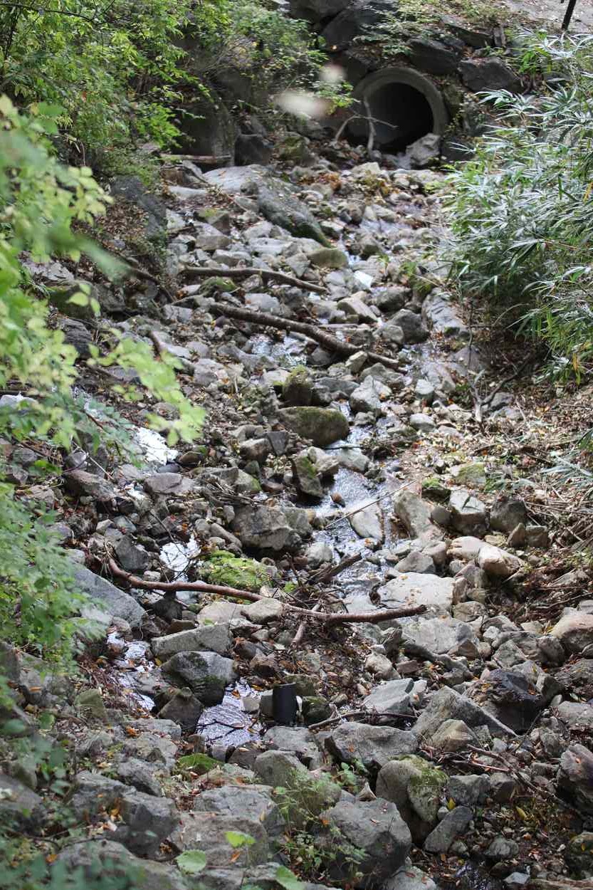 공주 계룡산 갑사