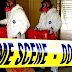 Crime scene cleanup