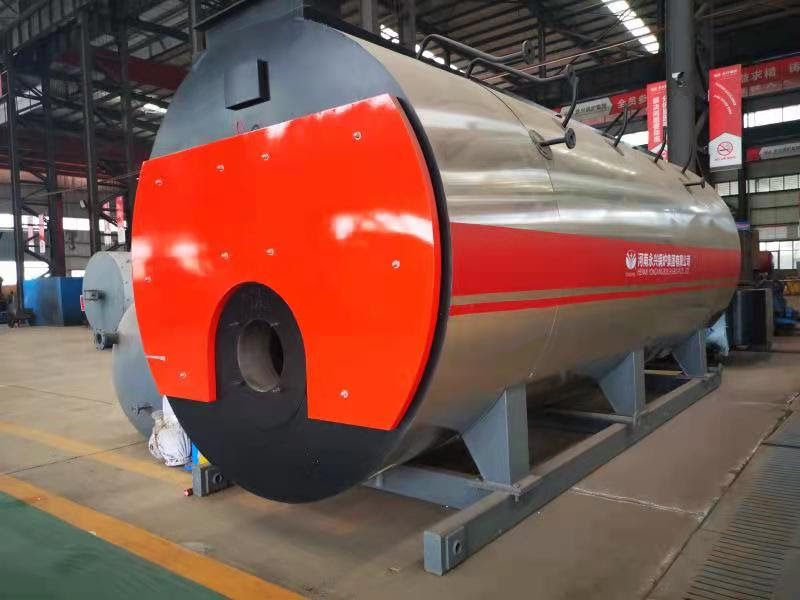 Chain grate stoker and travelling grate stoker