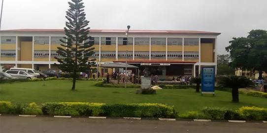 University of Ibadan100L Materials/Slides