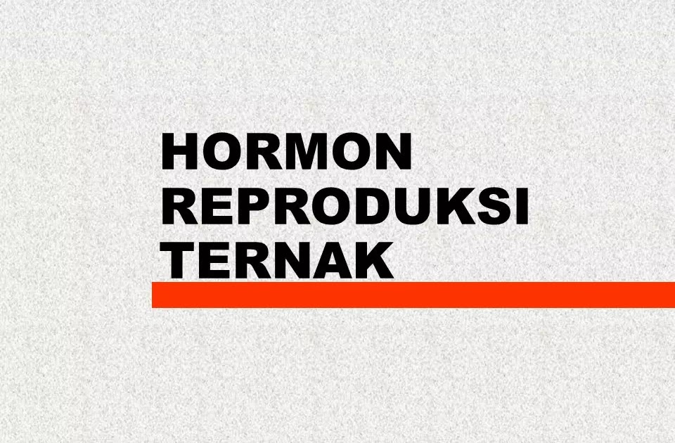 Mengenal Fungsi Hormon Reproduksi Ternak