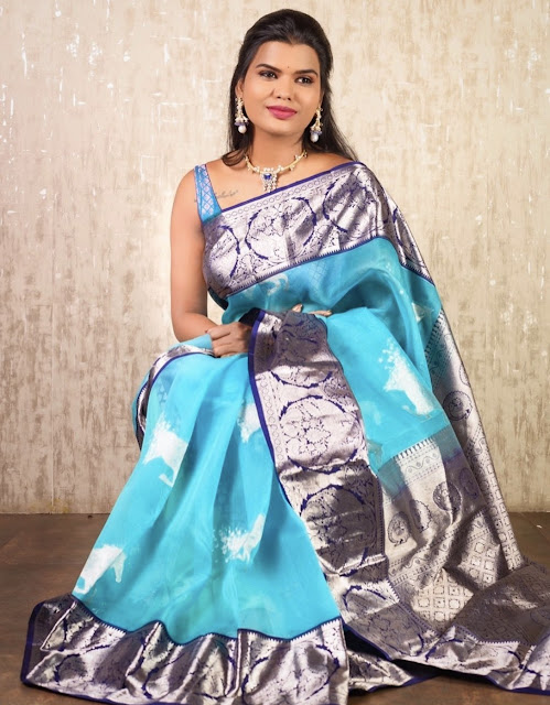 Shashi Vangapalli Blue Tissue Silk Saree - Saree Blouse Patterns