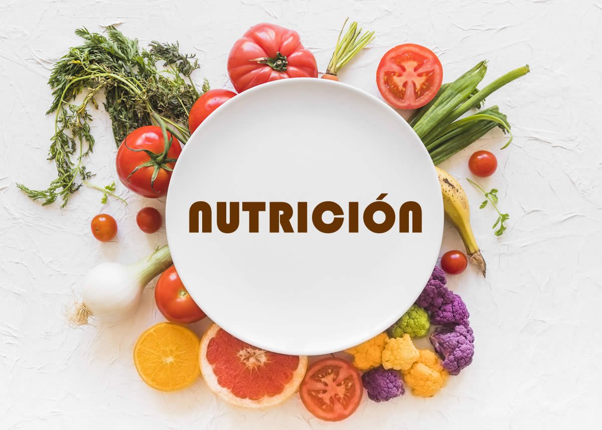 Función de nutrición. Exposición. Estudio del mundo natural