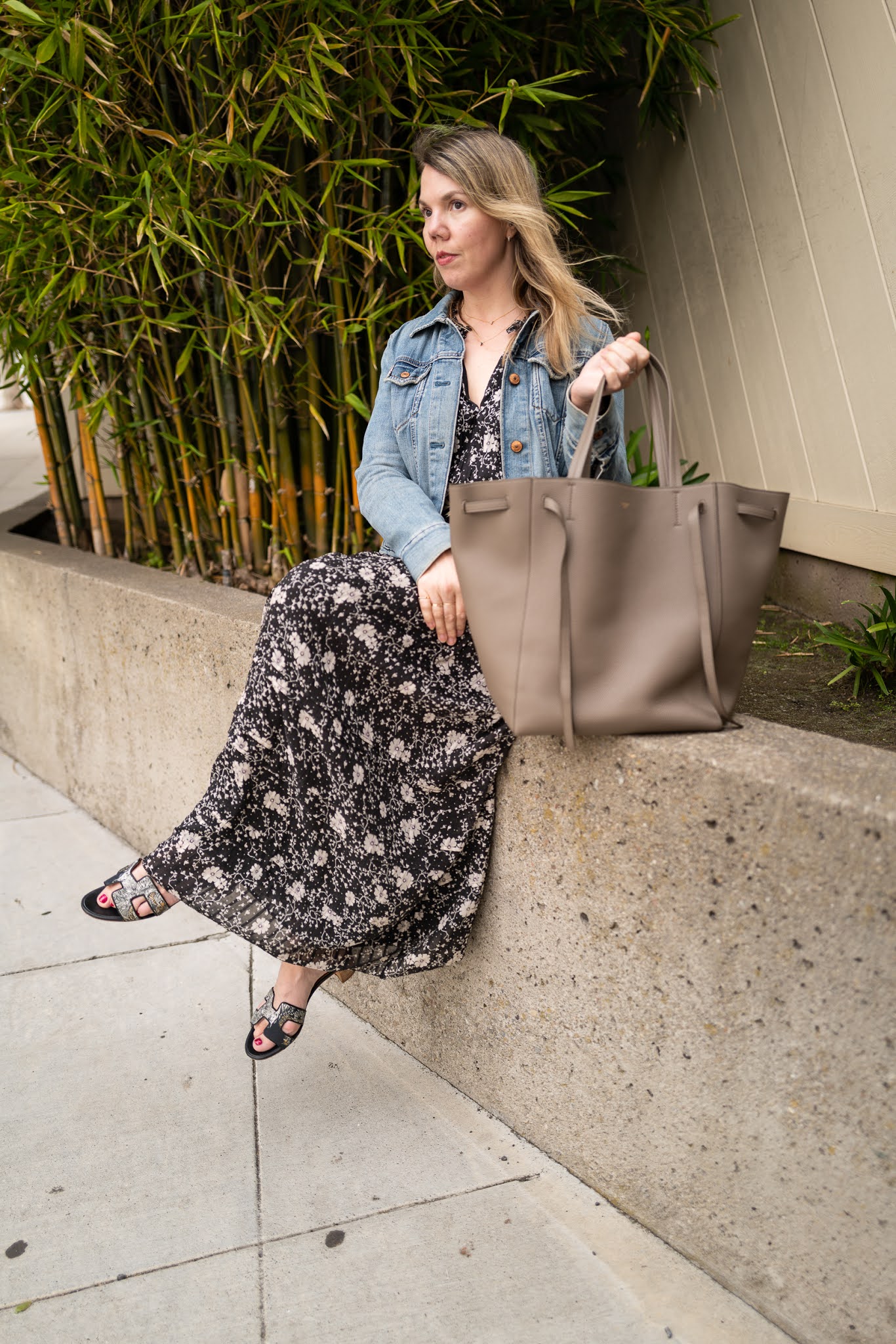 Celine Cabas Tote Review - Sizing, Wear & Tear - whatveewore