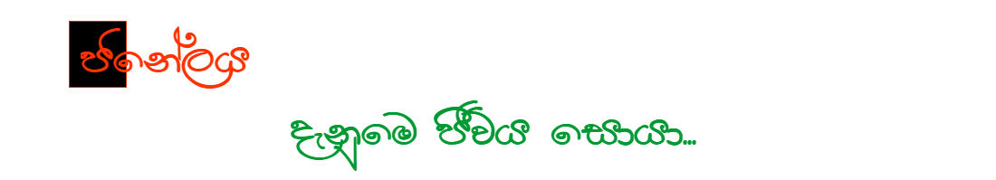 ජනේලය 