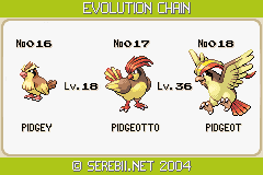 Pidgeotto Evolution Chart
