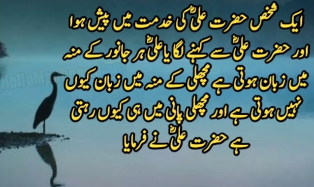 Hazrat Ali Life Changing Urdu Aqwal