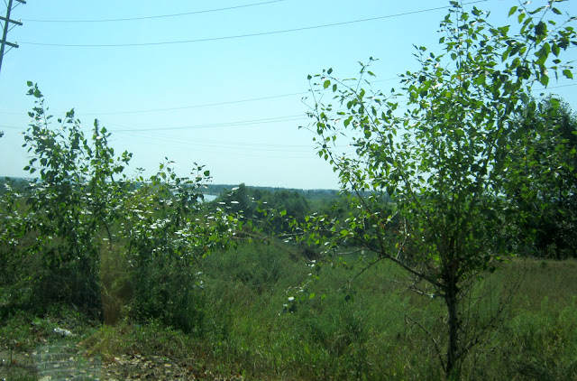 Дорога за поселком