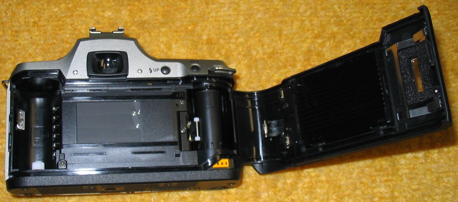 The Chens: Pentax ZX-60