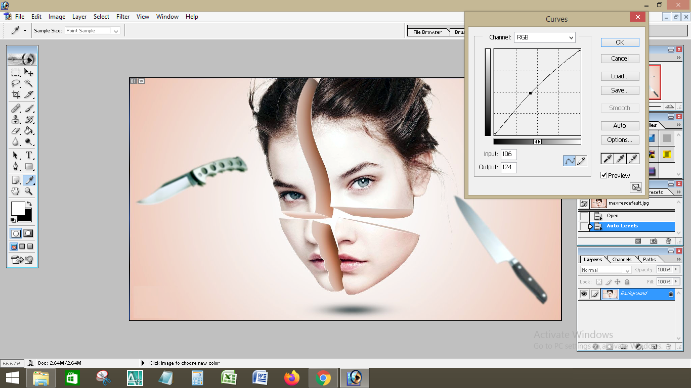 adobe photoshop 7.0 picture editing