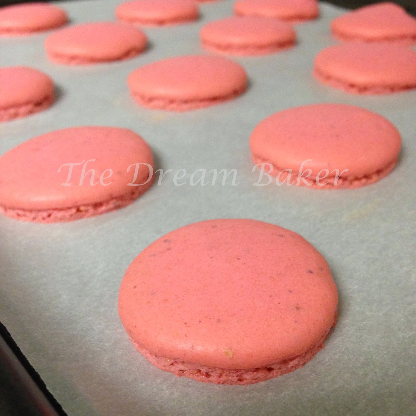 The Dream Baker...: French Macarons with Mint Chocolate Ganache (Sucre ...
