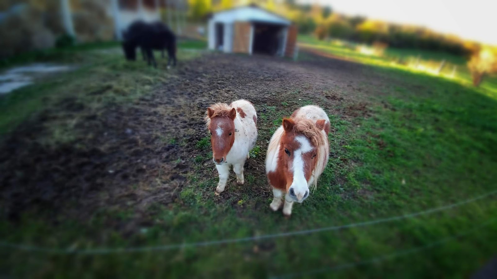 Http Katalog Wz Media De Reise Mag 19 03 2016 Blaetterkatalog Blaetterkatalog Pdf Complete Pdf