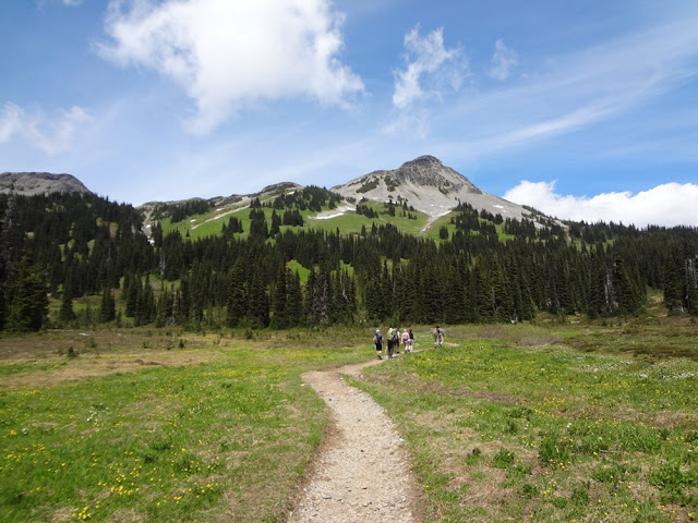 Taylor Meadow, Garibaldi Provincial Park