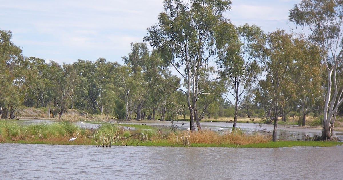 To Birdsville with bull dust Lagoons, waterholes and billabongs