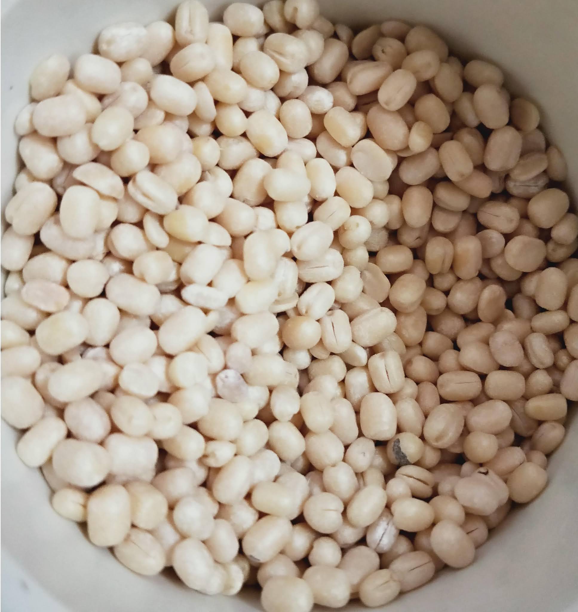 know about kannada and Karnataka Beans, Pulses in kannada and English