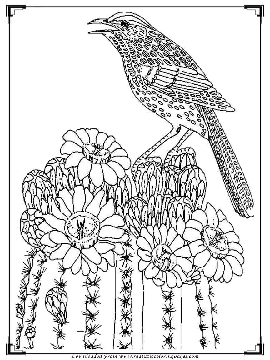 The Top 23 Ideas About Adult Coloring Pages Birds Home Family Style And Art Ideas