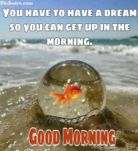 50 Beautiful Good Morning Quotes and Saying 50 Beautiful Good Morning Quotes and Saying