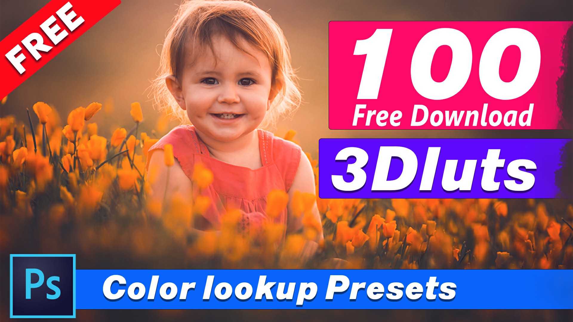 100 color lookup presets 3dluts