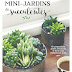 Mon coup de cœur lecture : Mini-jardins de Succulentes {cadeau
inside}