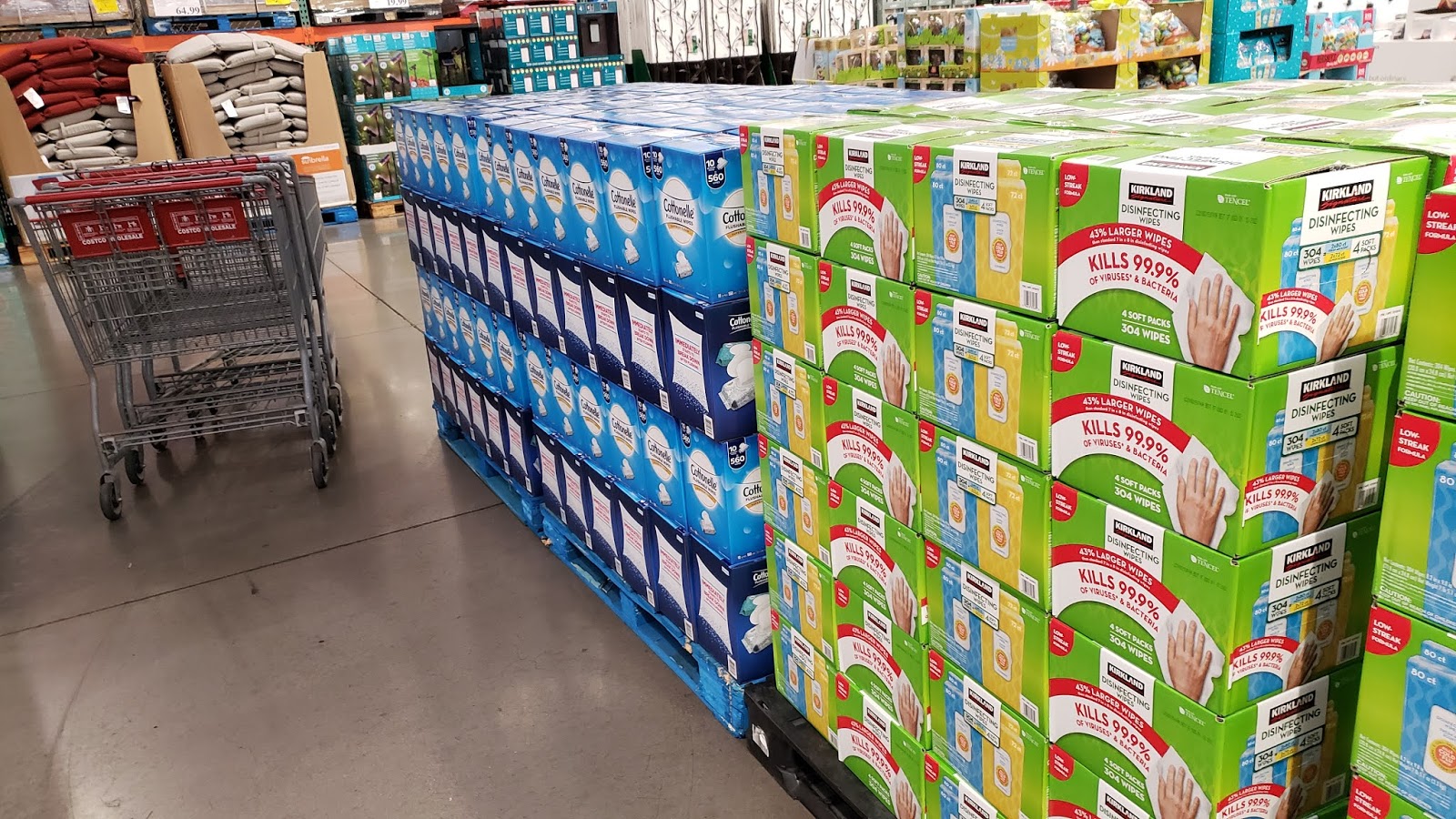 Tales from the CostcoApocalypse (19 Pics) STATIONGOSSIP