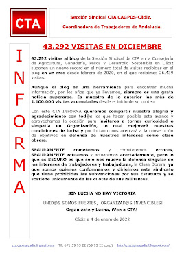 43.292 VISITAS EN DICIEMBRE