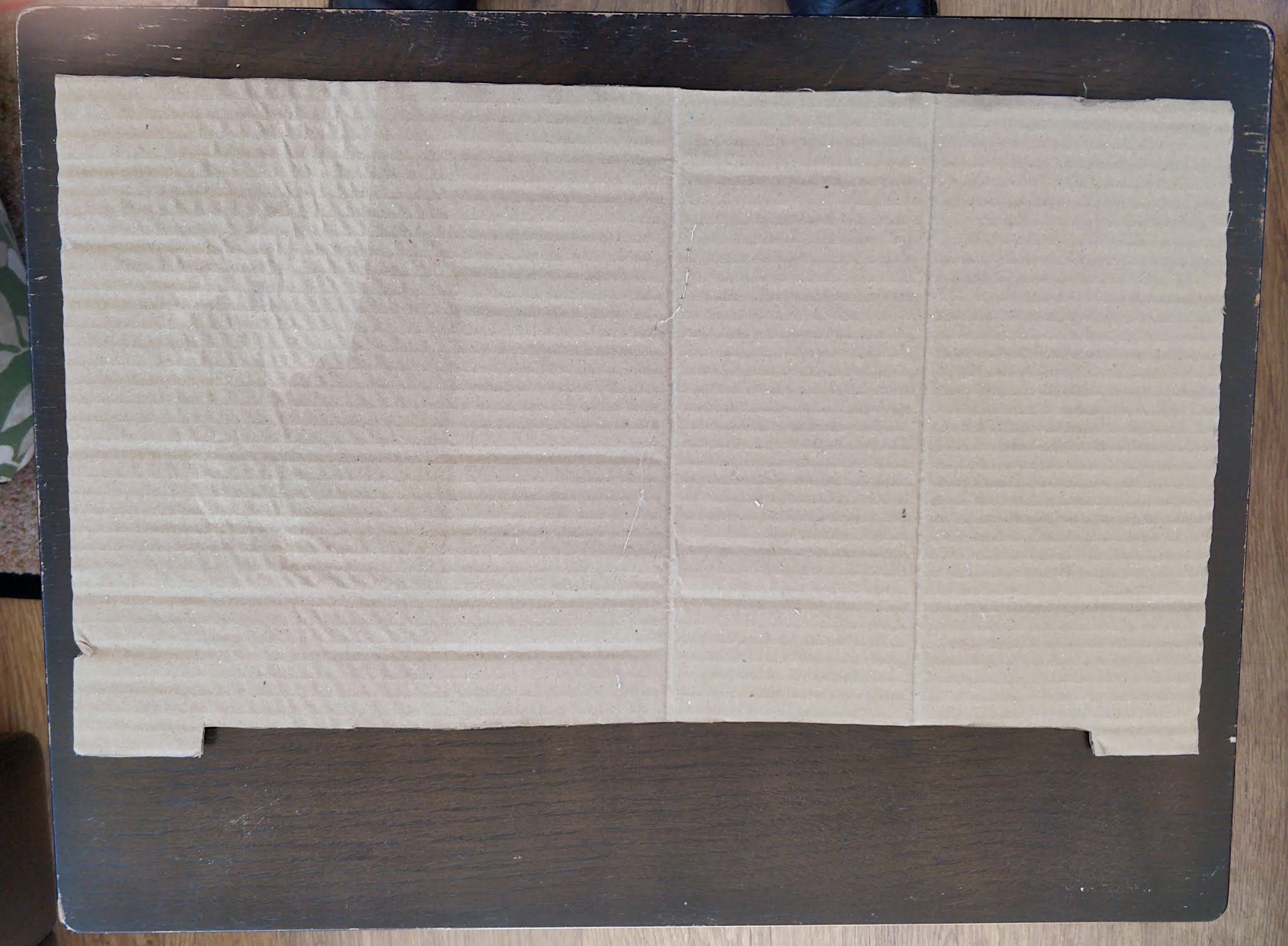 Captain Bodgit My 'Cardboard Box' Moth Trap